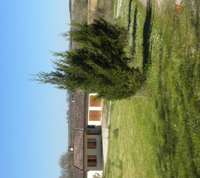 Photo of Buildings in Nerac