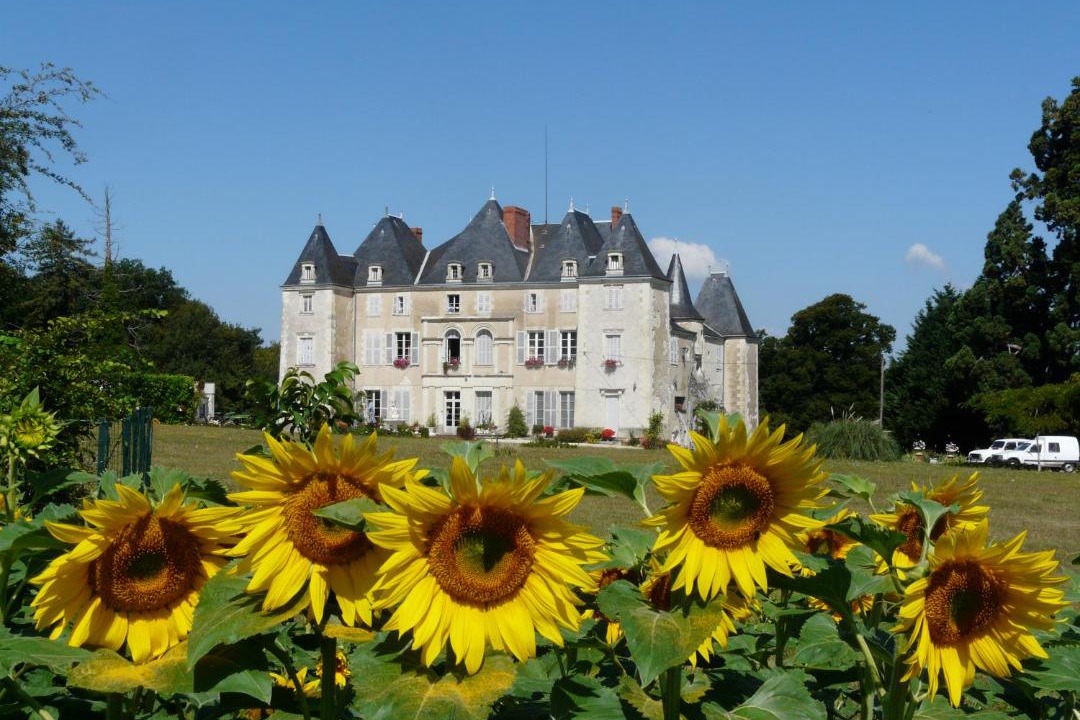 Photo of Others in Dange-Saint-Romain