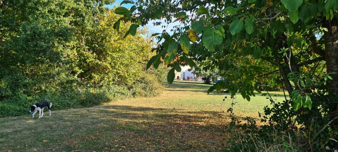 Photo of Outdoor in Saint-Sylvestre-sur-Lot
