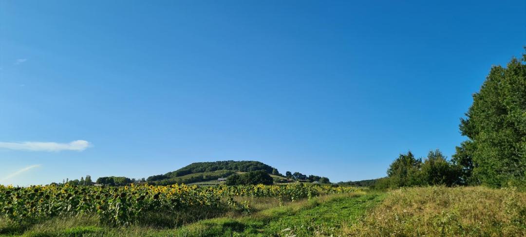 Photo of Others in Saint-Sylvestre-sur-Lot