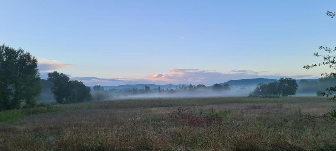Photo of Outdoor in Saint-Sylvestre-sur-Lot