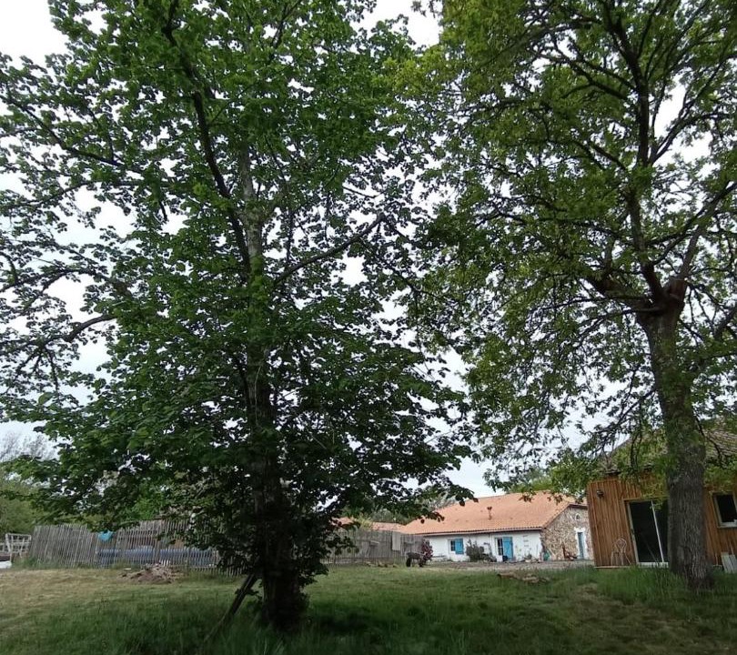 Photo of Others in Commensacq