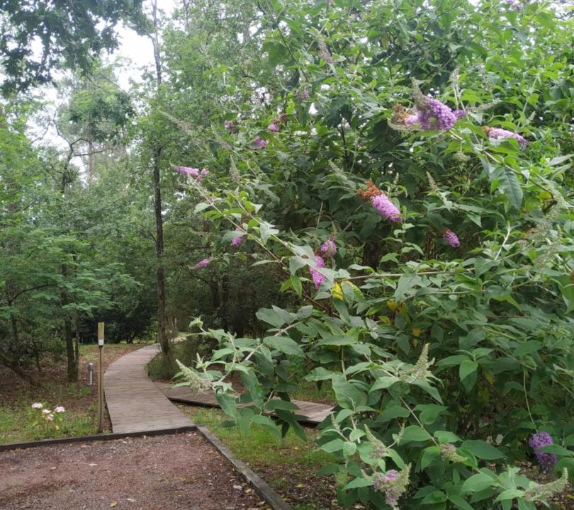 Photo of Outdoor in Leognan