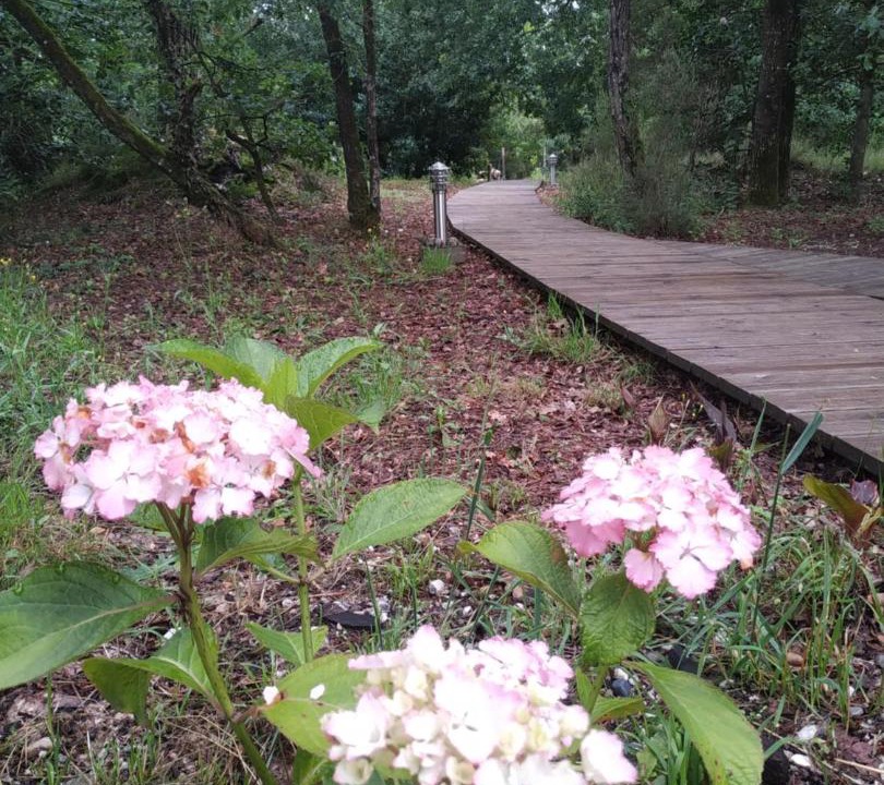 Photo of Outdoor in Leognan