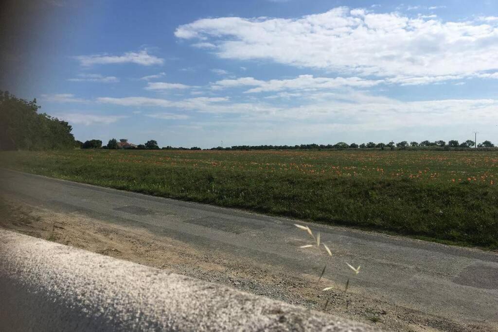 Photo of Outdoor in Marsilly