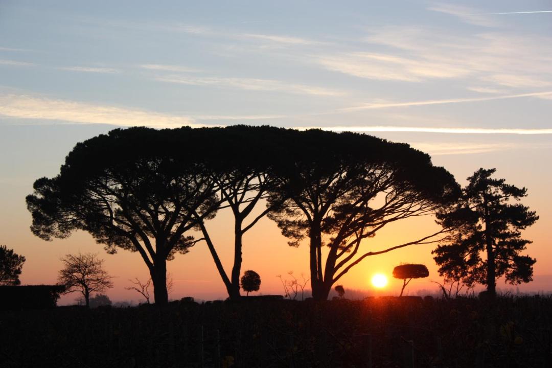 Photo of Outdoor in Moulis-en-Medoc