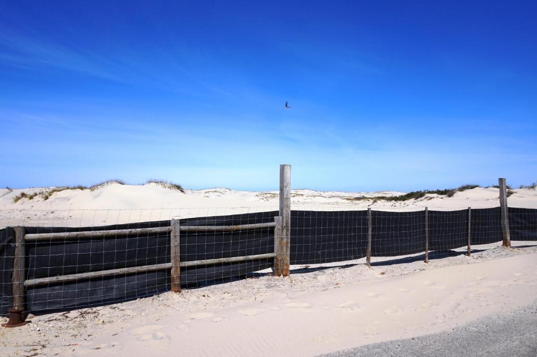 Photo of Others in Biscarrosse Plage