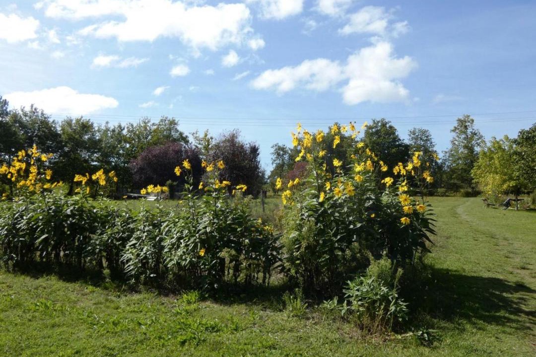Photo of Outdoor in Aureilhan