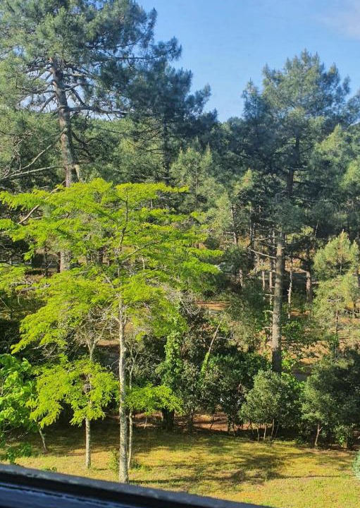 Photo of Outdoor in Maubuisson
