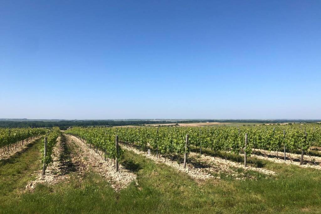 Photo of Outdoor in Cherac