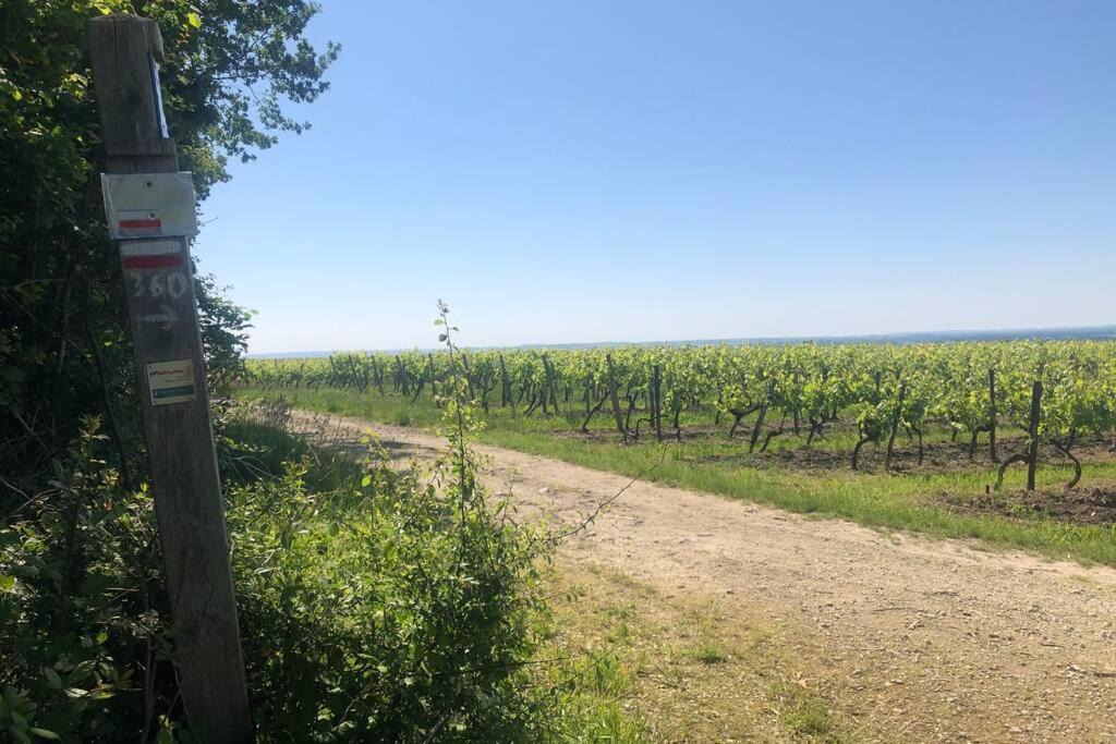 Photo of Outdoor in Cherac