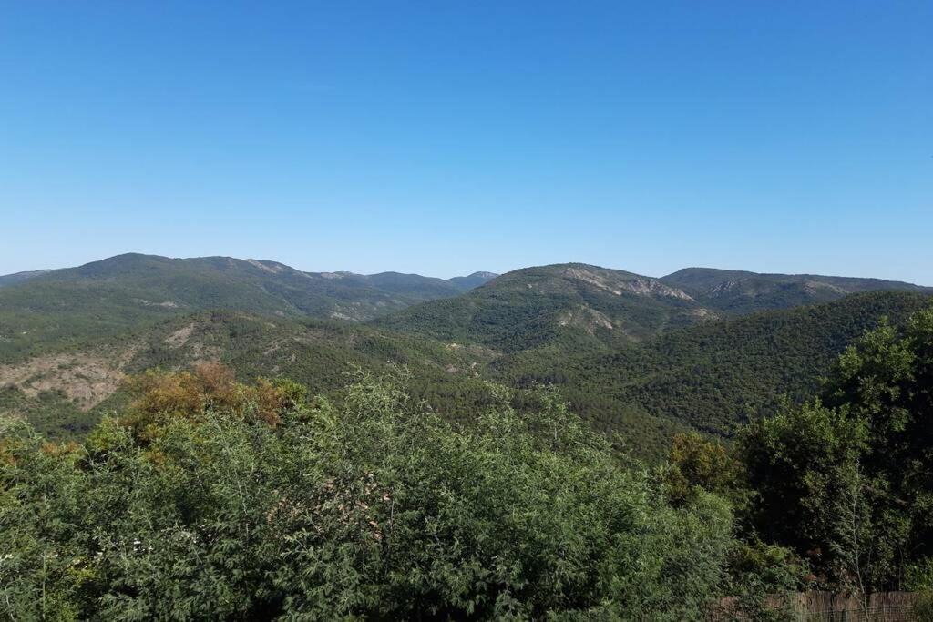 Photo of Outdoor in Le Muy