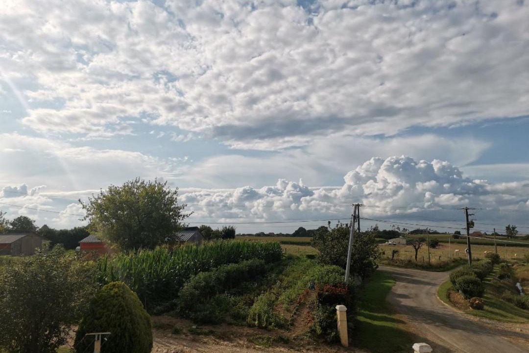 Photo of Outdoor in Philondenx