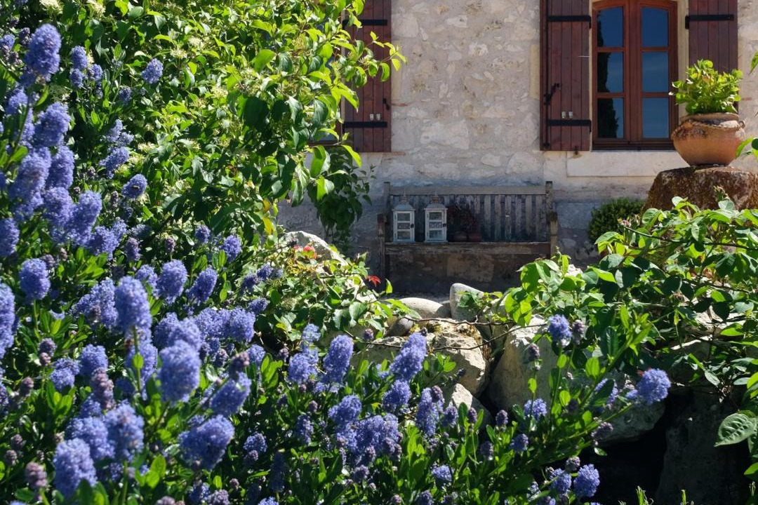 Photo of Others in Penne-d'Agenais