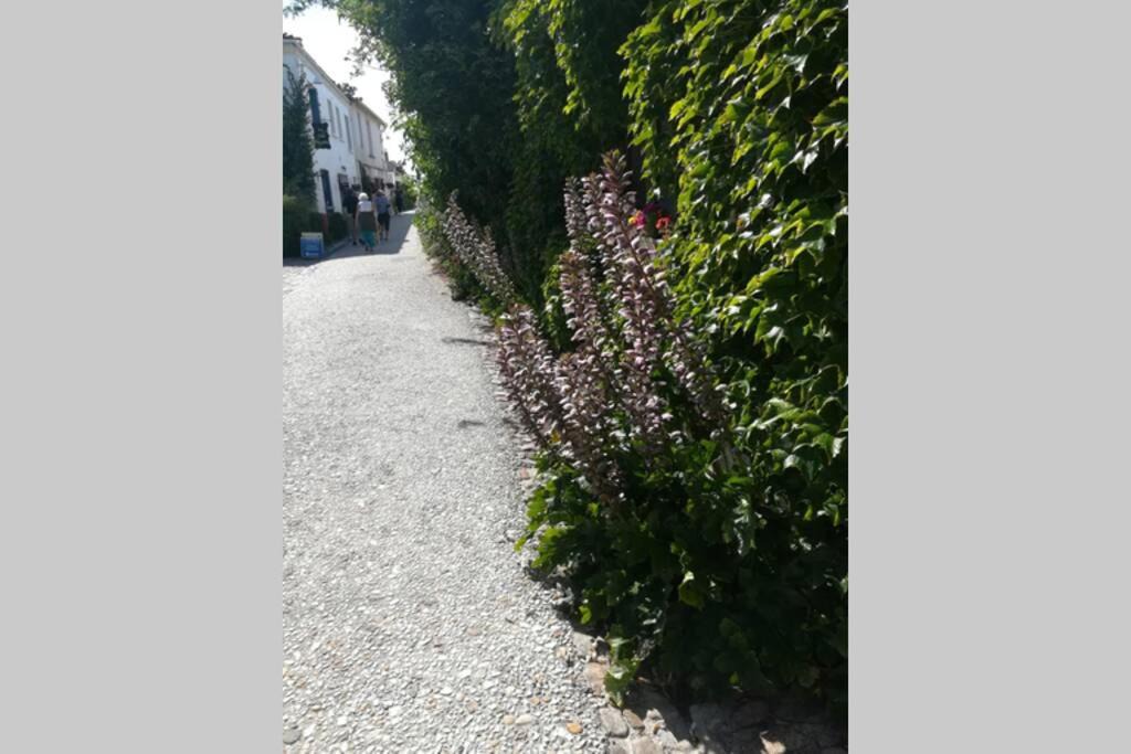 Photo of Outdoor in Talmont-sur-Gironde
