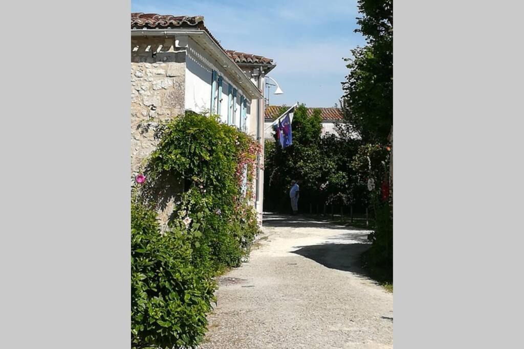 Photo of Others in Talmont-sur-Gironde