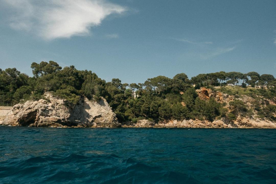 Photo of Others in Le Pradet