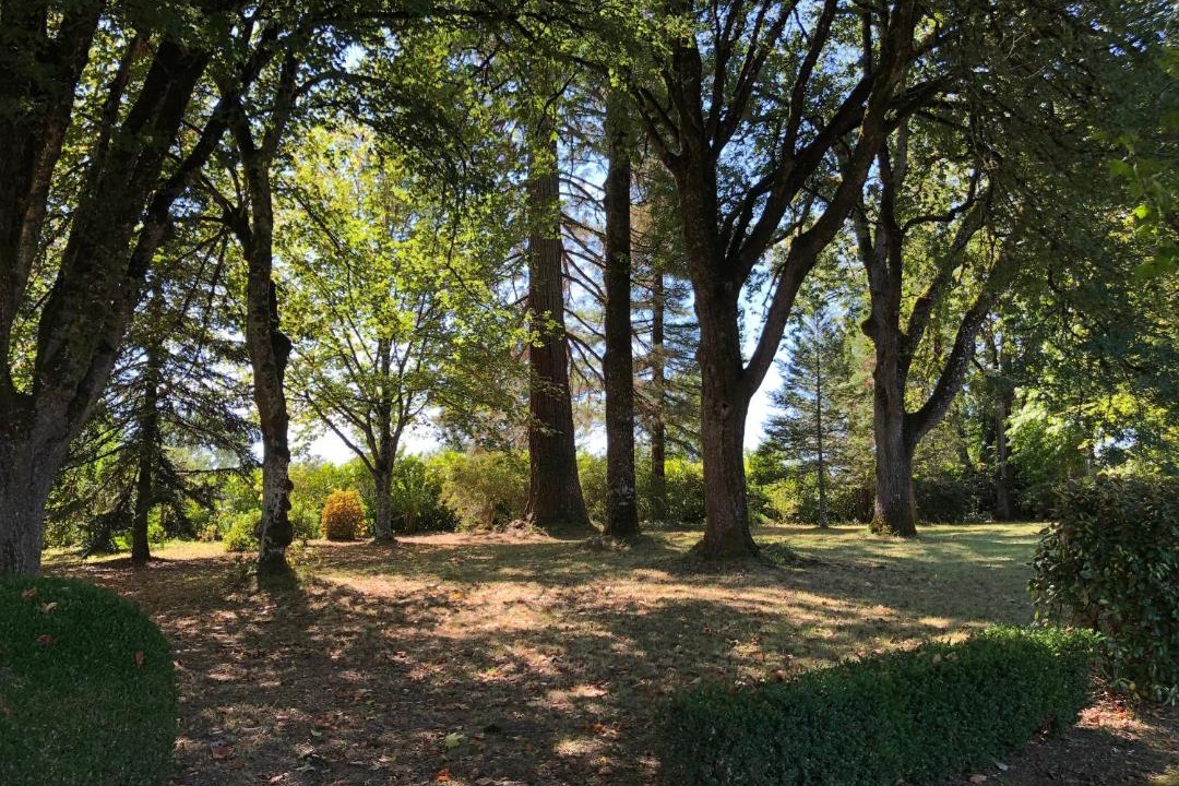 Photo of Outdoor in Chapdeuil