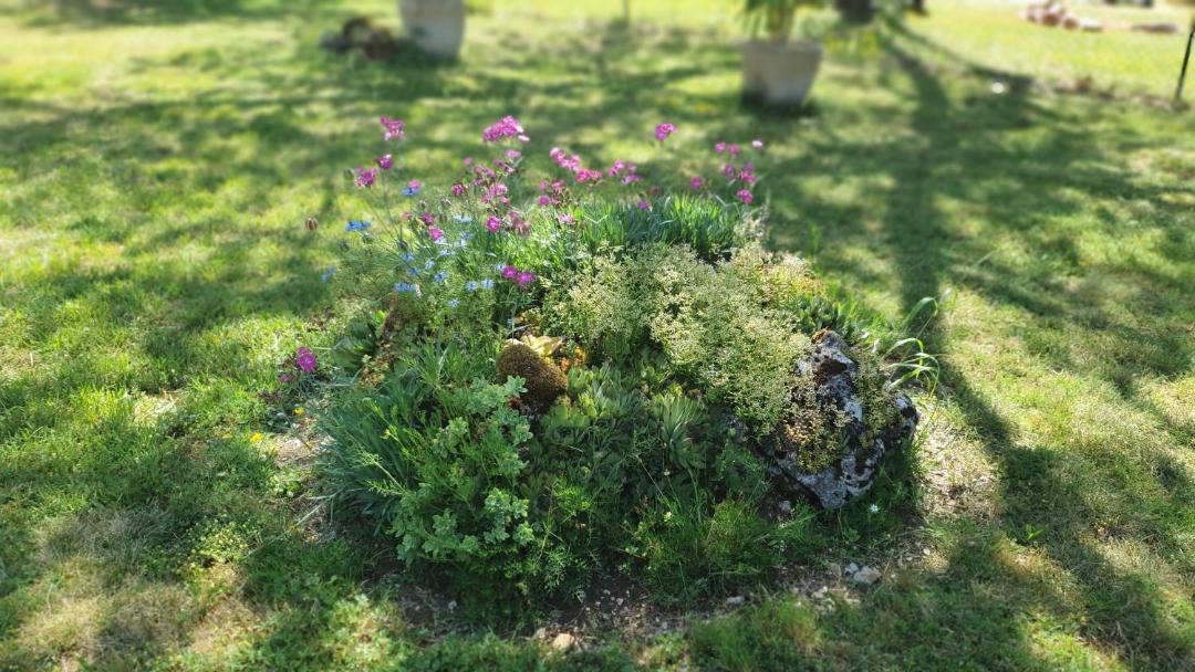 Photo of Outdoor in Saint-Andre-dAllas