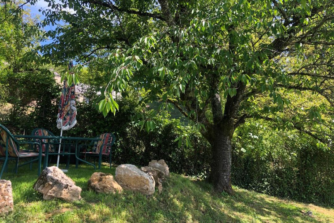 Photo of Outdoor in Terrasson-la-Villedieu