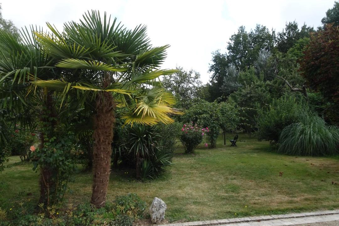 Photo of Outdoor in Quincay