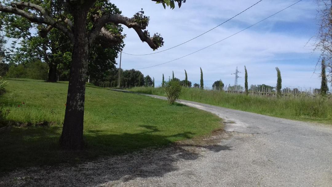 Photo of Others in Civrac-de-Blaye