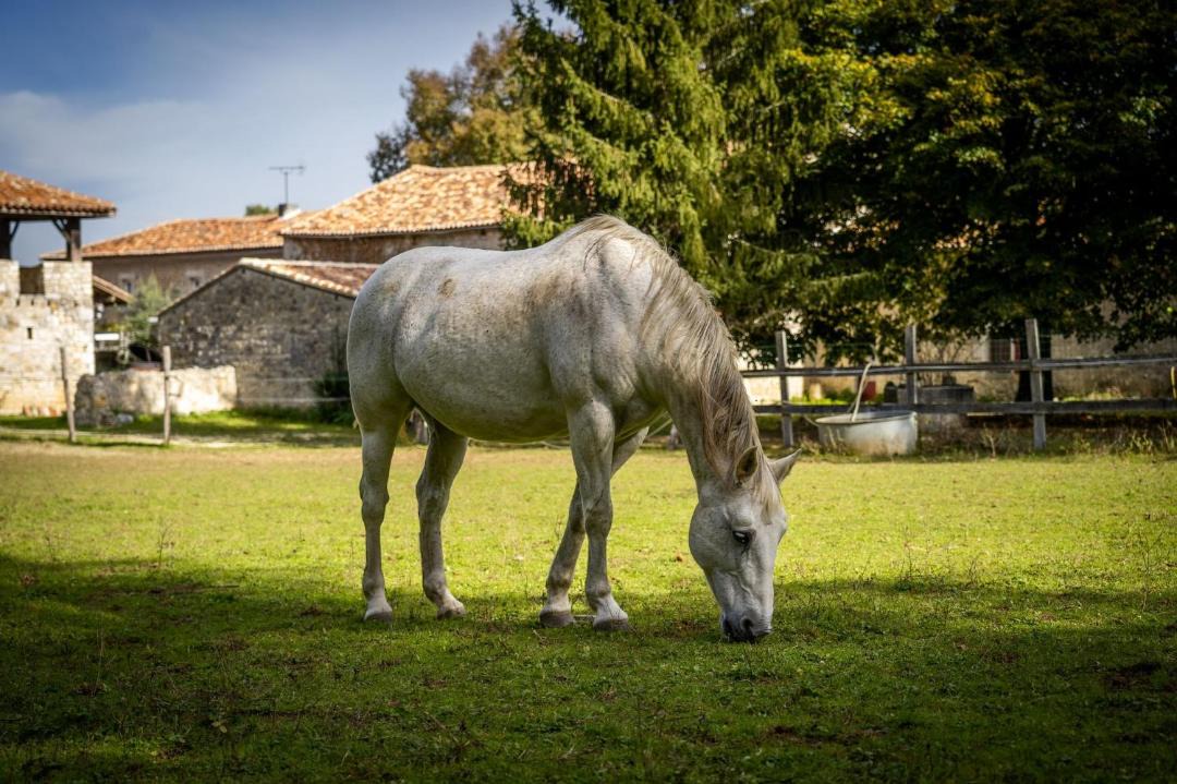 Photo of Others in Rancogne
