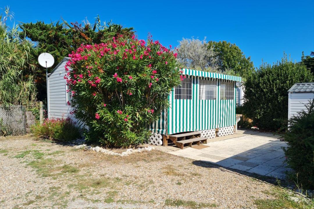 Photo of Others in Saint-Denis-d'Oleron