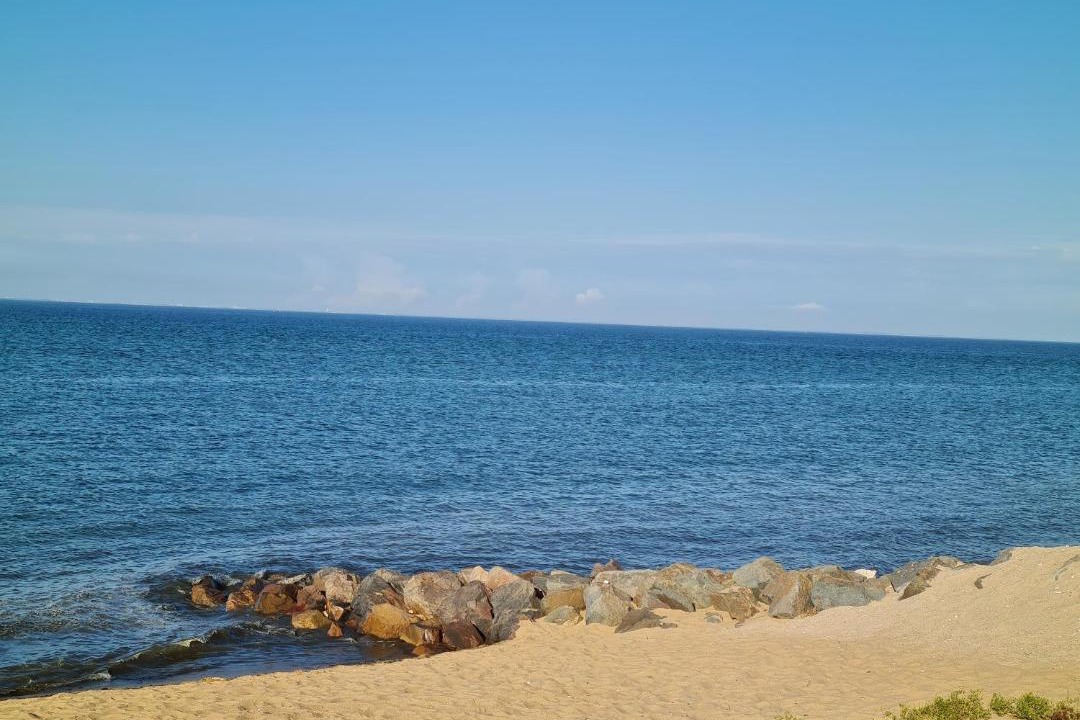 Photo of Others in Saint-Denis-d'Oleron