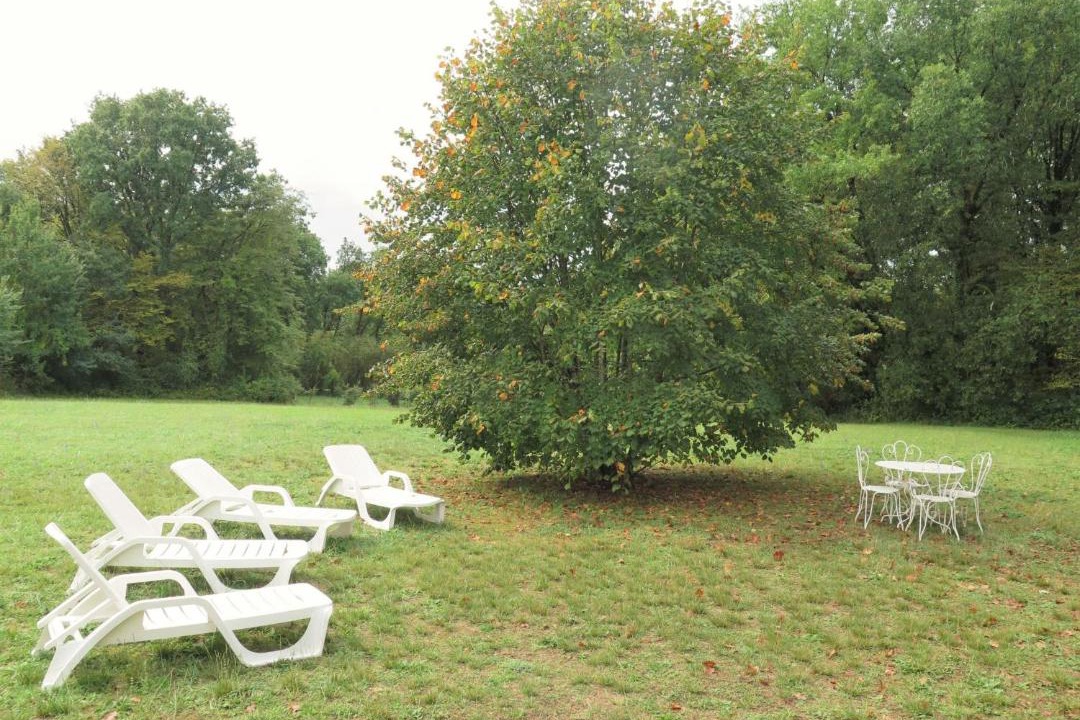 Photo of Outdoor in Jayac