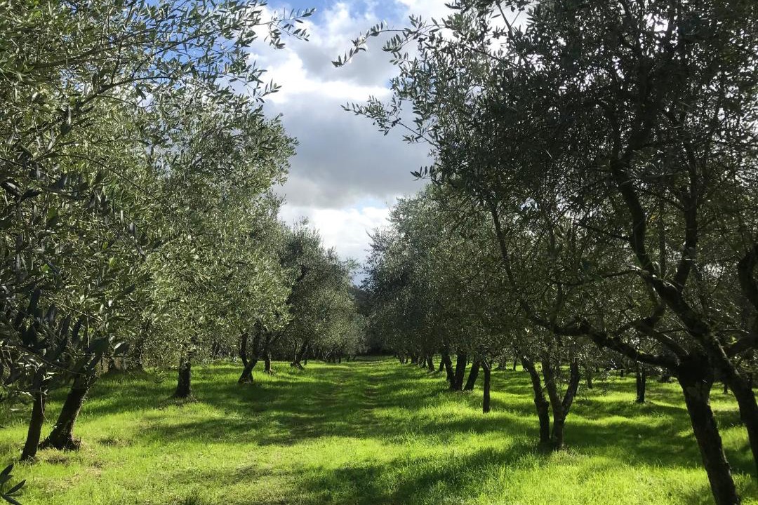 Photo of Others in Rignano sull'Arno