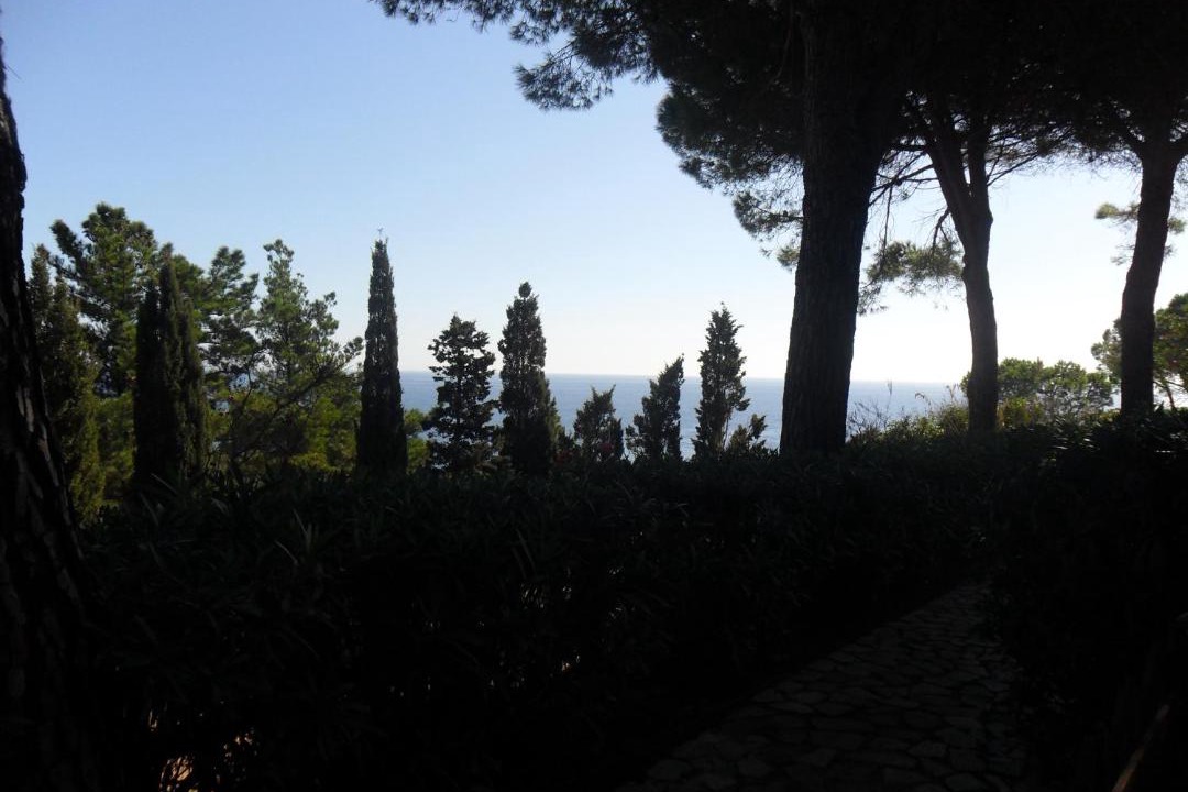 Photo of Others in Porto Azzurro