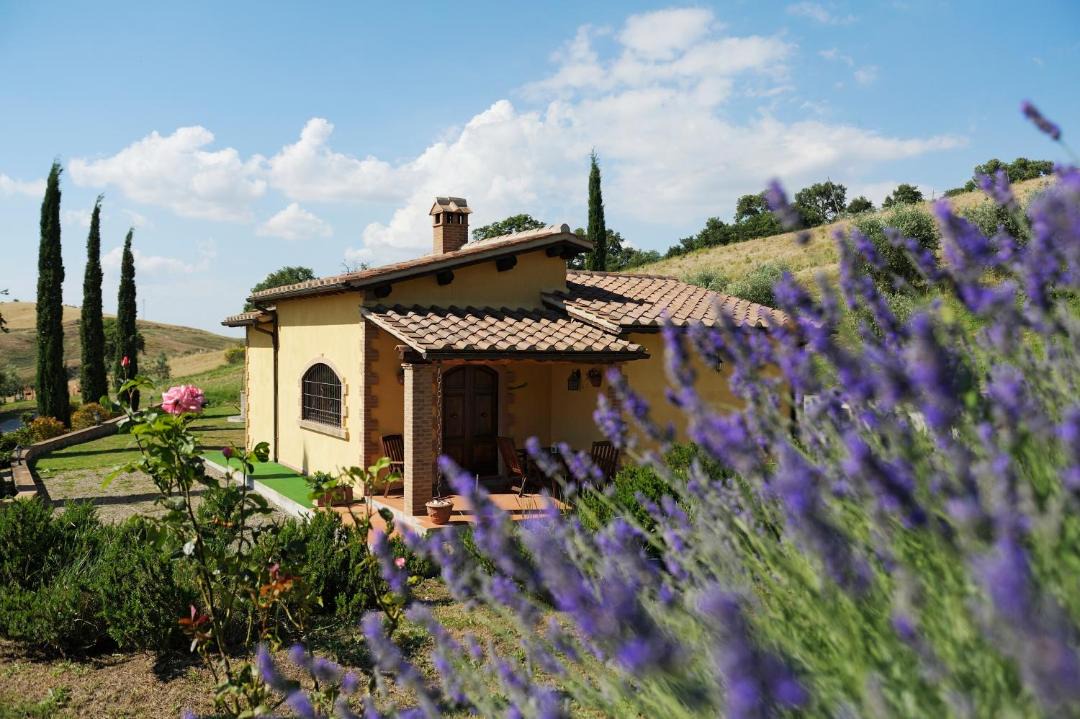 Photo of Others in Cinigiano