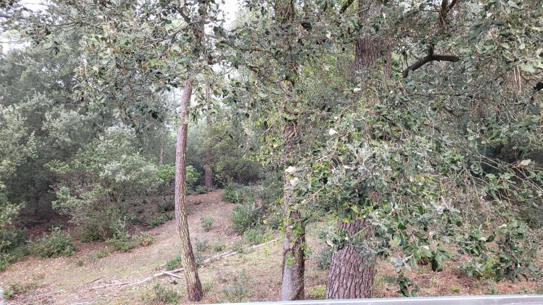 Photo of Outdoor in Saint-Trojan-les-Bains