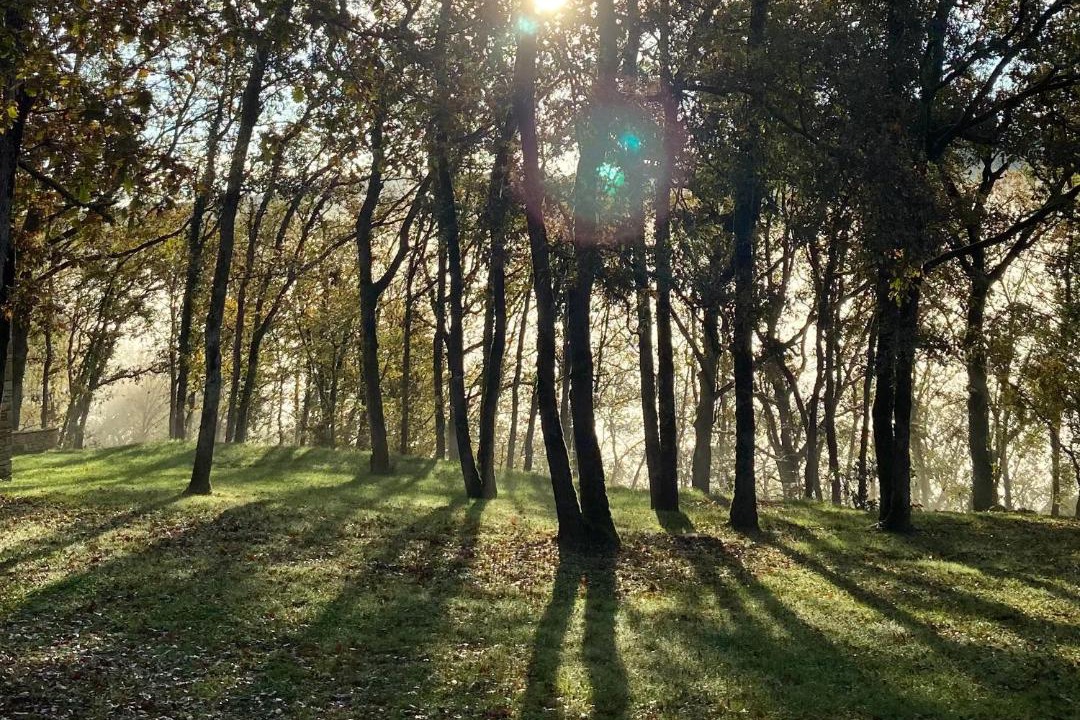 Photo of Others in Valojoulx