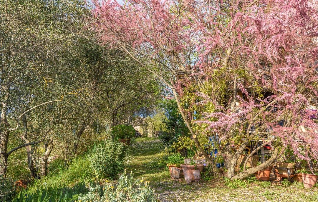 Photo of Outdoor in Ville di Corsano