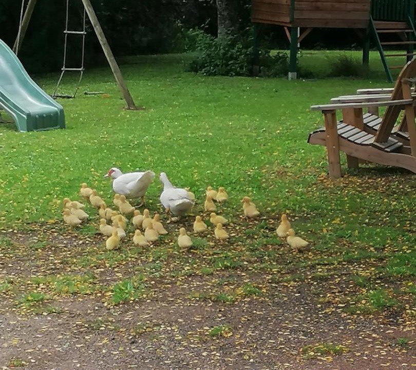 Photo of Others in La Creche