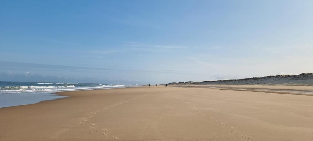 Photo of Others in Lacanau-Ocean