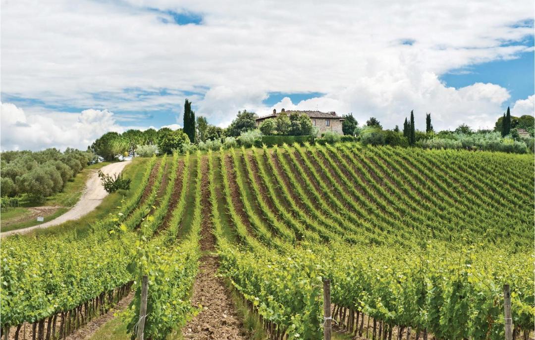 Photo of Others in Castellina in Chianti