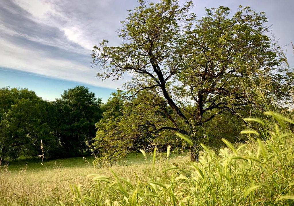 Photo of Outdoor in Gurat