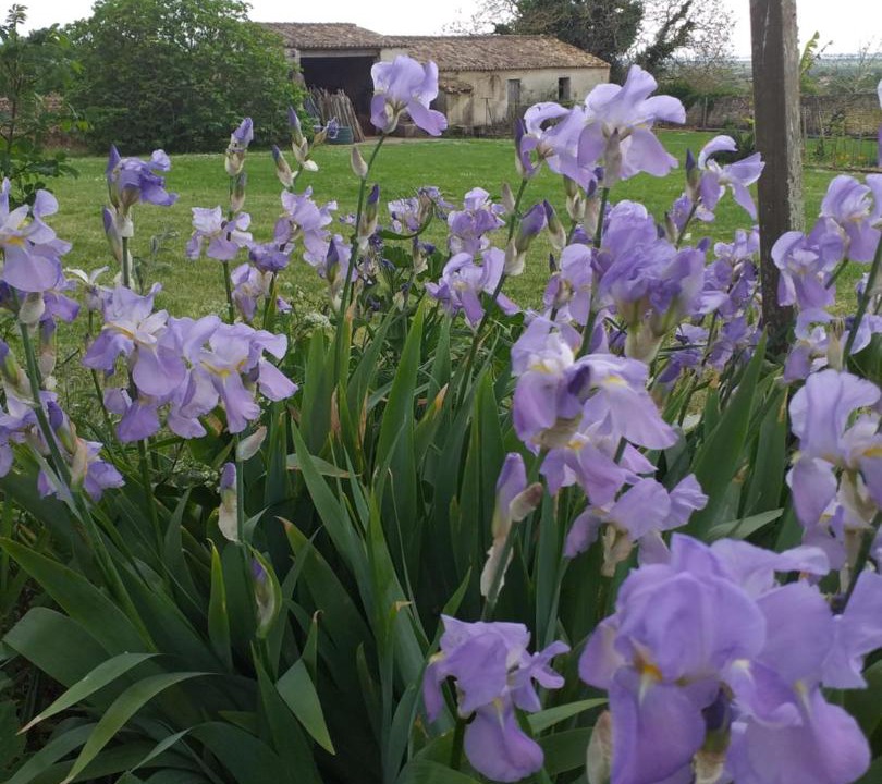 Photo of Outdoor in Saint-Bonnet-sur-Gironde