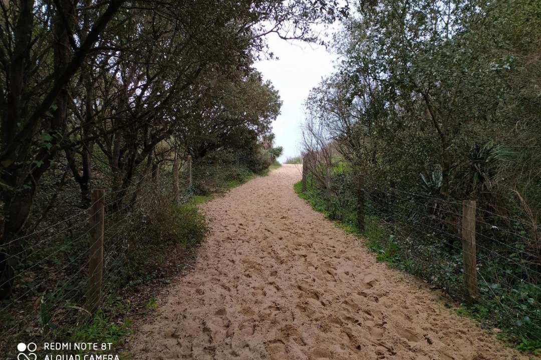 Photo of Outdoor in La Remigeasse