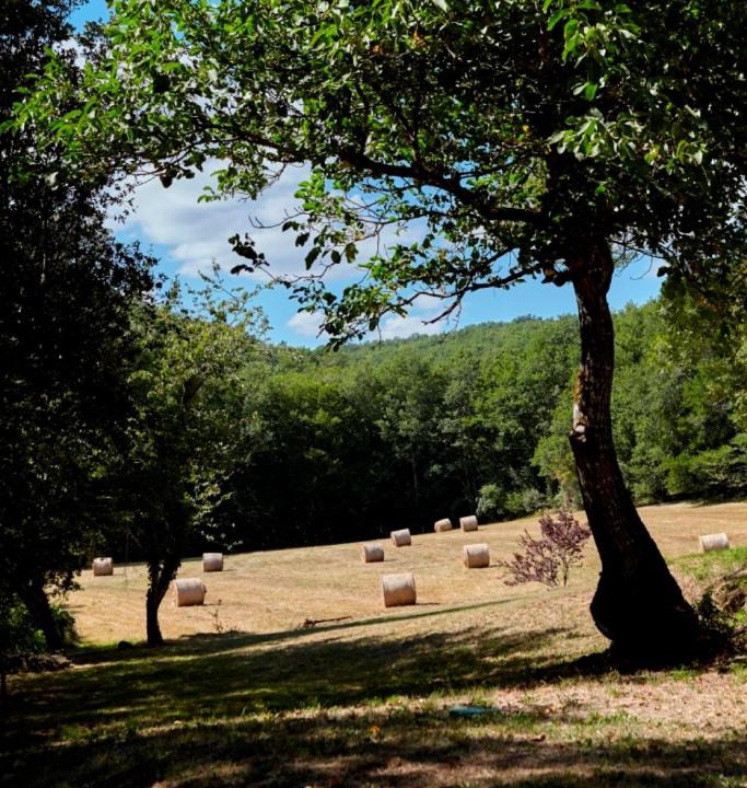 Photo of Others in Vitrac