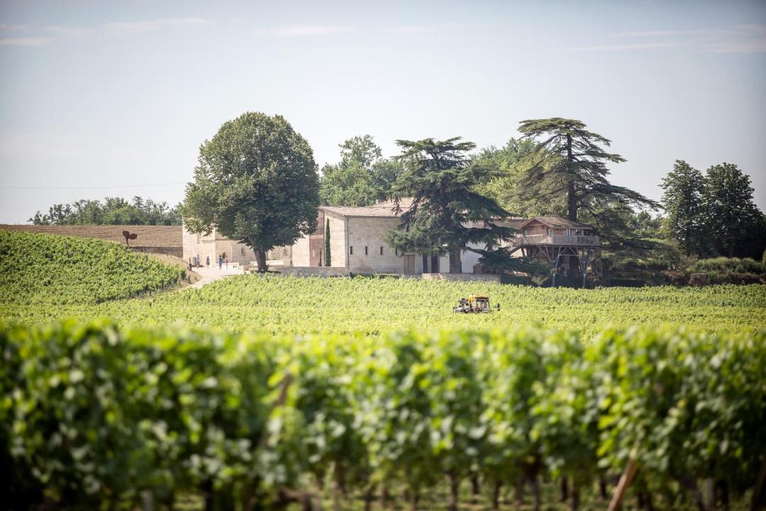 Photo of Others in Saint-Emilion