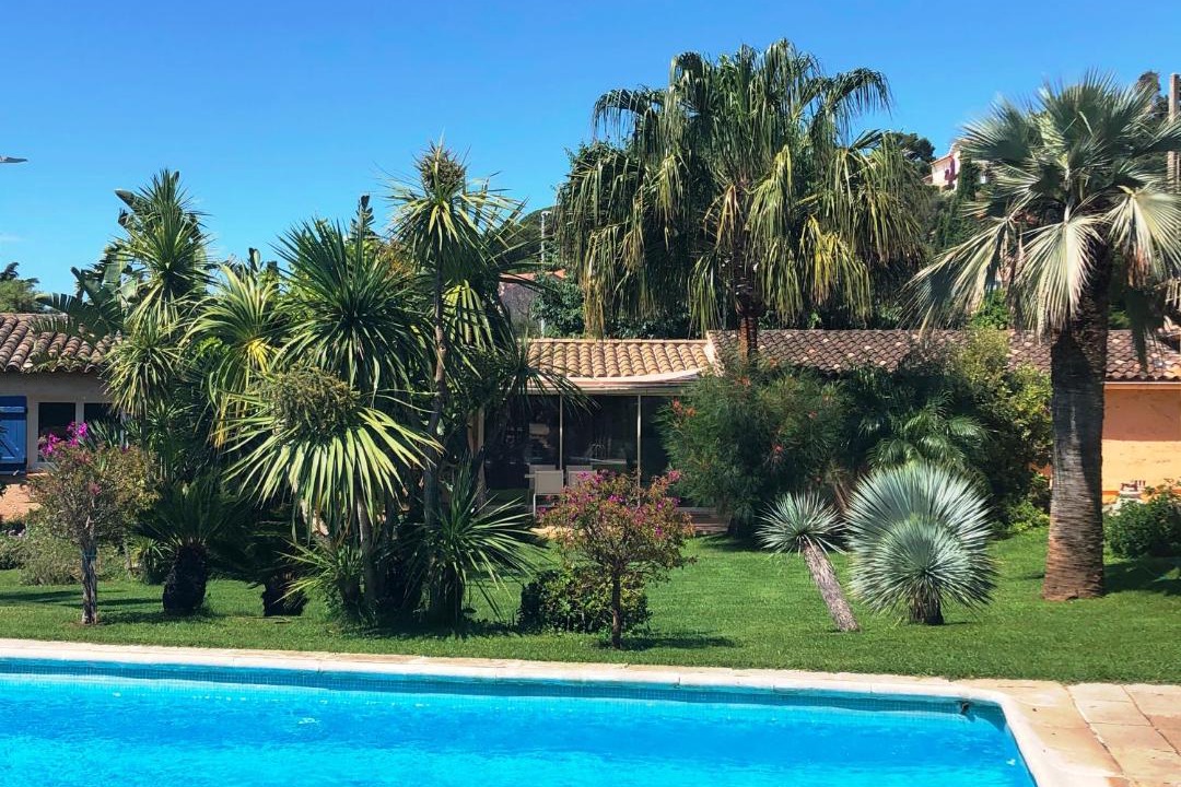 Photo of Others in Bormes-Les-Mimosas