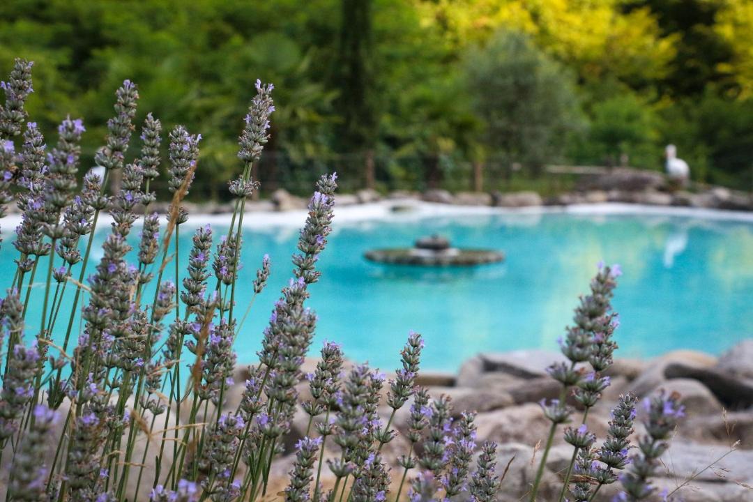 Photo of Outdoor in Pontito