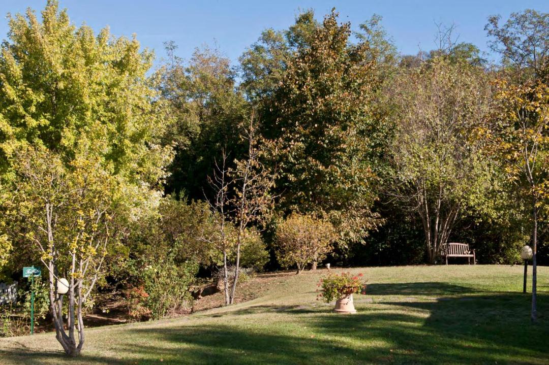 Photo of Outdoor in Montelupo Fiorentino