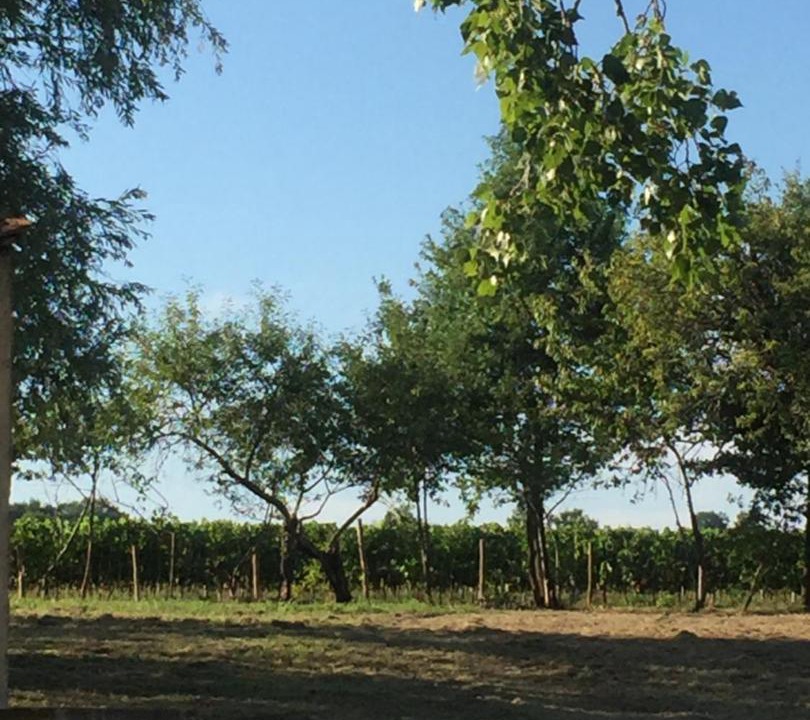 Photo of Outdoor in Minzac