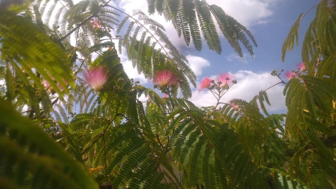 Photo of Outdoor in Thurageau