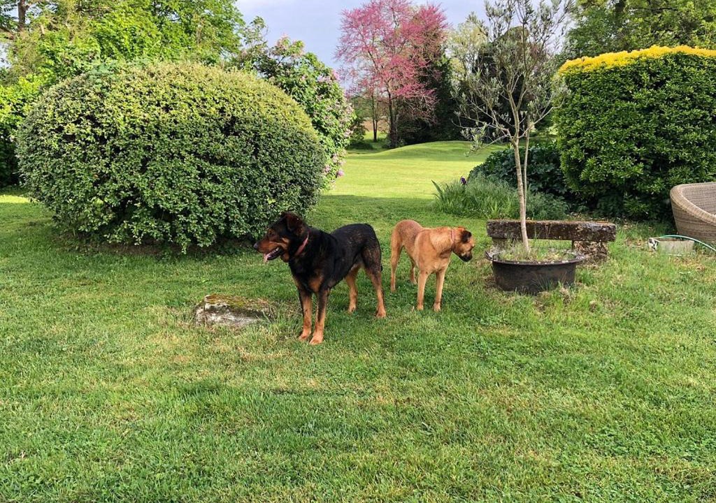 Photo of Others in Saint-Germain-Du-Puch